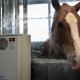 IIRIS SaltEq halogenerator for horses 4
